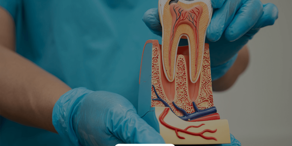 fernando-sandoval-bg-nosotros